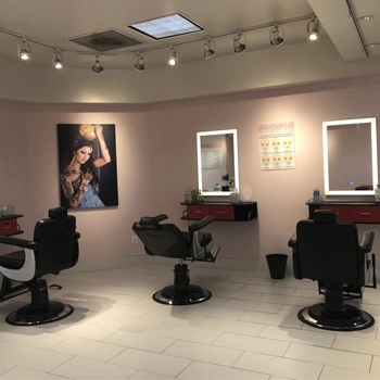 Perfect Brow Shaping Services in San Mateo, CA